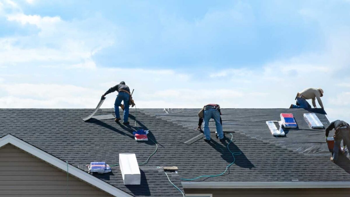 Carrollwood Roofing